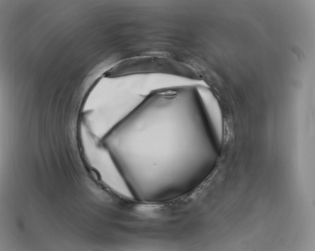 X0000113370051200910131329