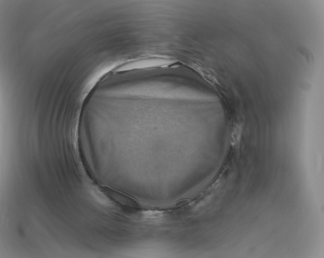 X0000113370052200910131329