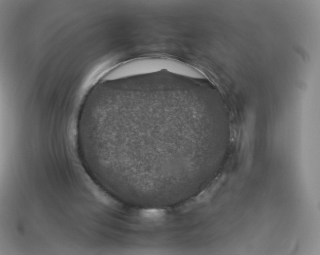 X0000113370053200910131329