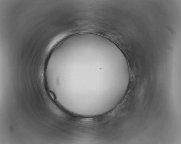 X0000113370054200910131329