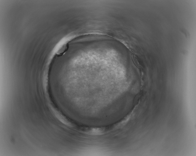 X0000113370056200910131329
