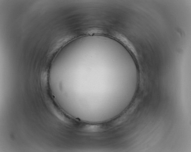 X0000113370057200910131329