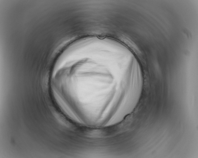 X0000113370058200910131329