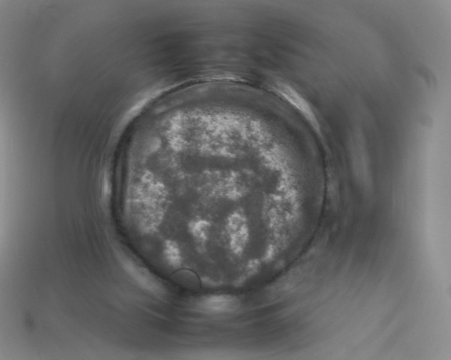 X0000113370059200910131329