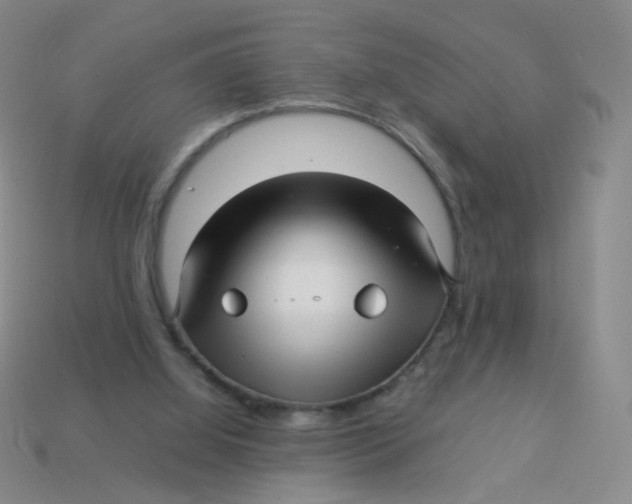 X0000113370060200910131329