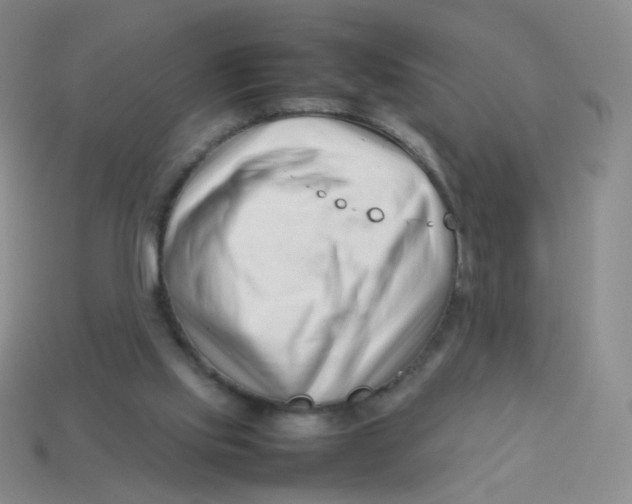 X0000113370061200910131329