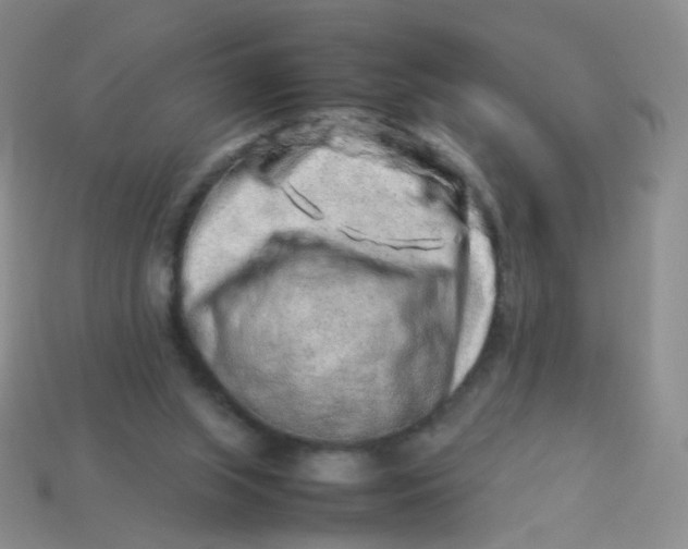X0000113370063200910131329