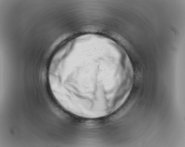 X0000113370064200910131329
