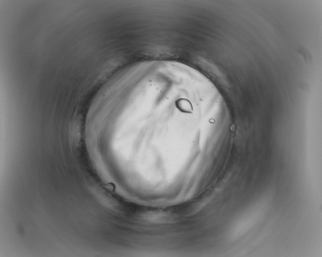 X0000113370065200910131329