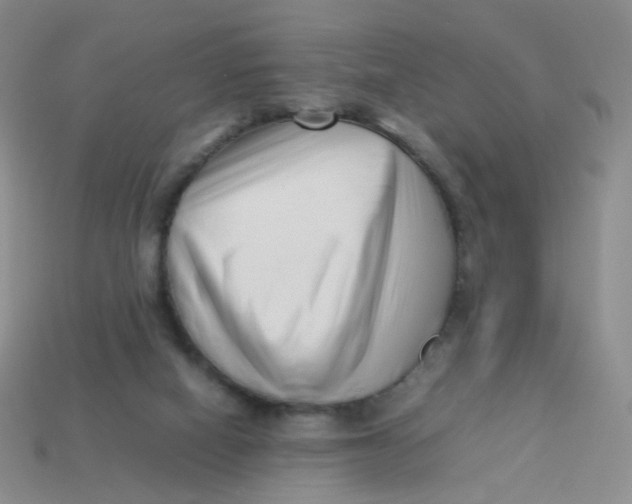 X0000113370066200910131329