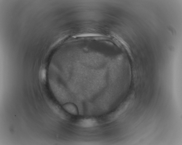 X0000113370067200910131329