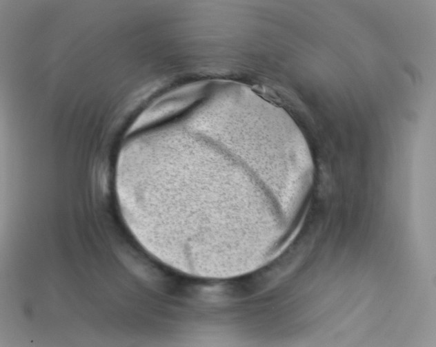 X0000113370068200910131329