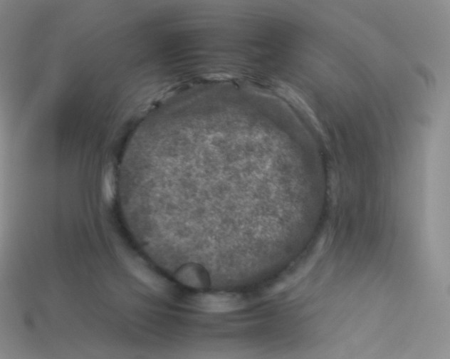 X0000113370069200910131329