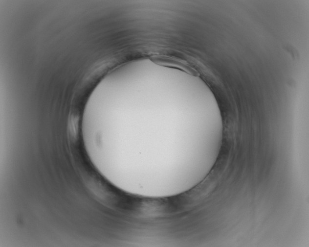 X0000113370070200910131329