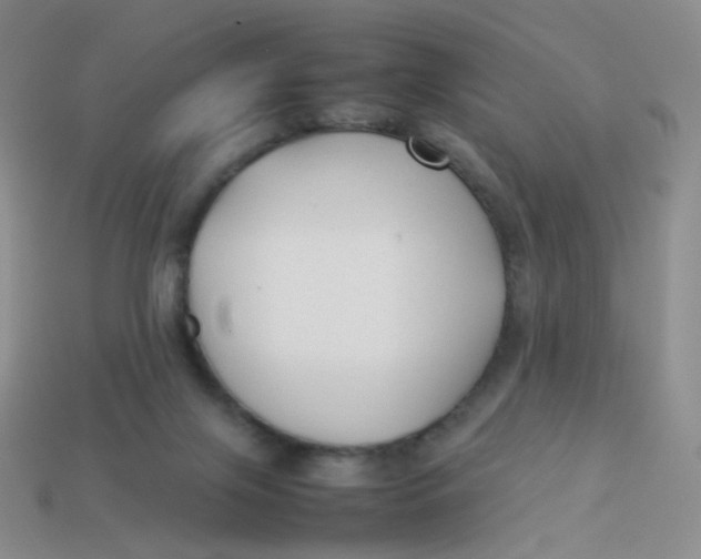 X0000113370071200910131329