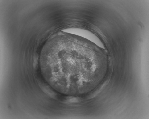 X0000113370073200910131329