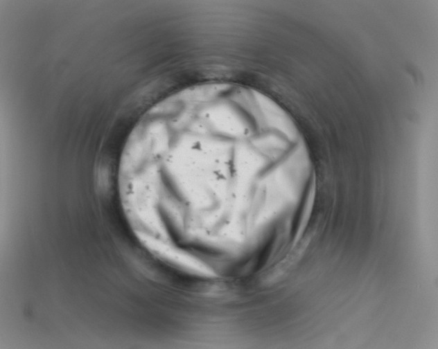 X0000113370074200910131329