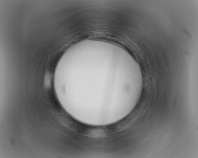 X0000113370075200910131329