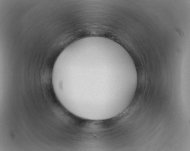 X0000113370078200910131329