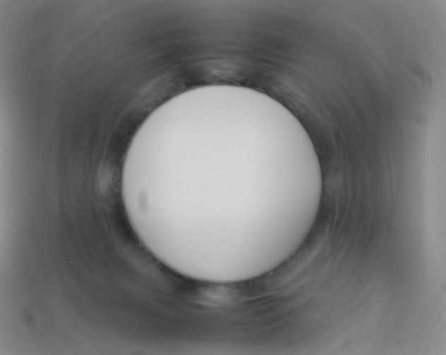 X0000113370079200910131329
