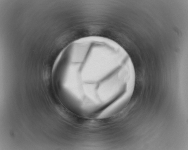 X0000113370082200910131329