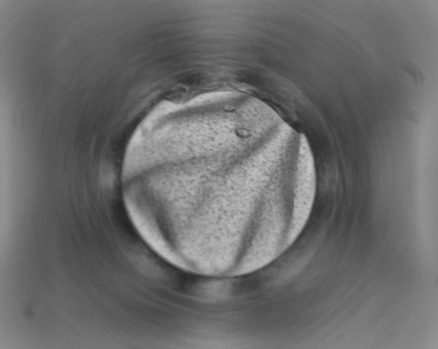 X0000113370084200910131329