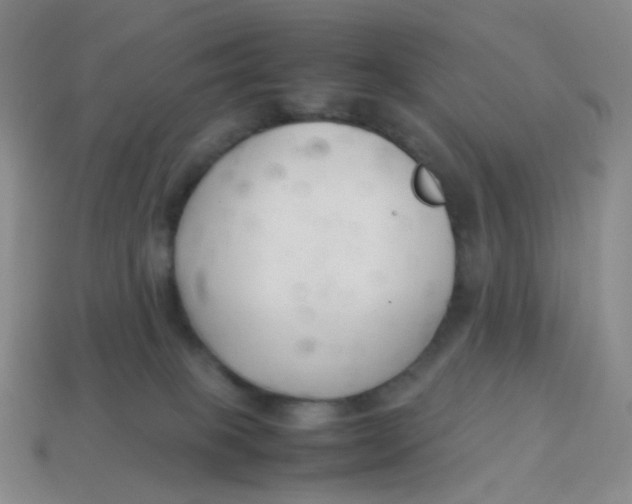 X0000113370085200910131329