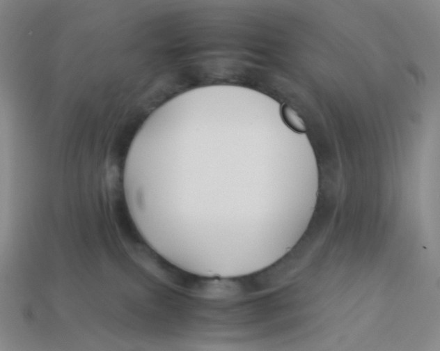 X0000113370087200910131329