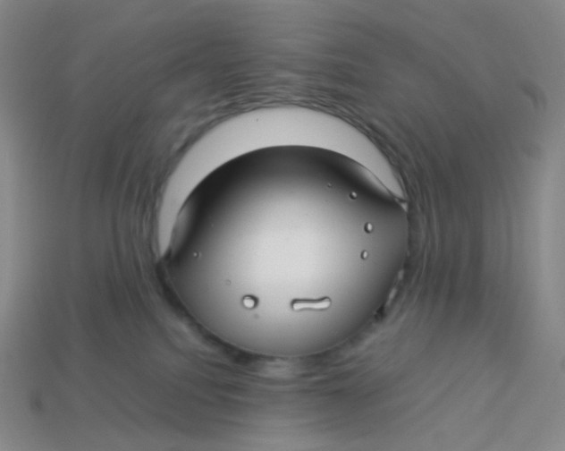 X0000113370088200910131329