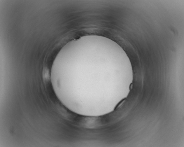 X0000113370089200910131329