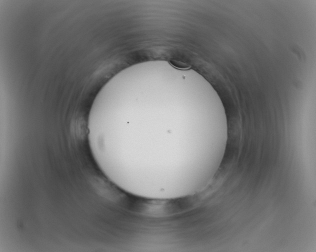 X0000113370090200910131329