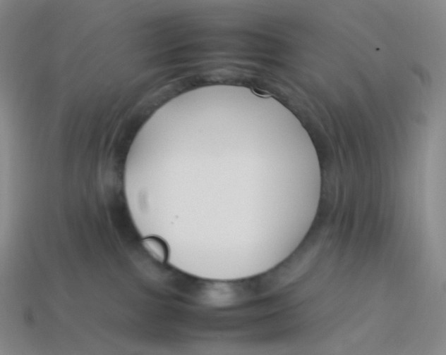 X0000113370091200910131329