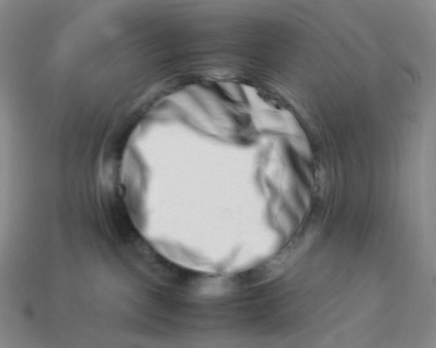 X0000113370093200910131329