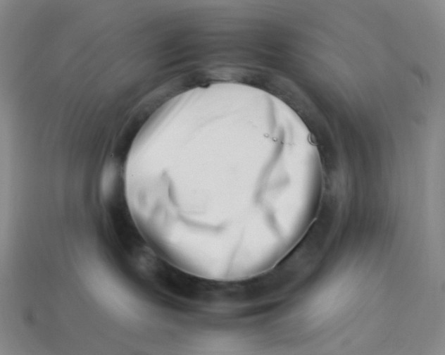 X0000113370095200910131329