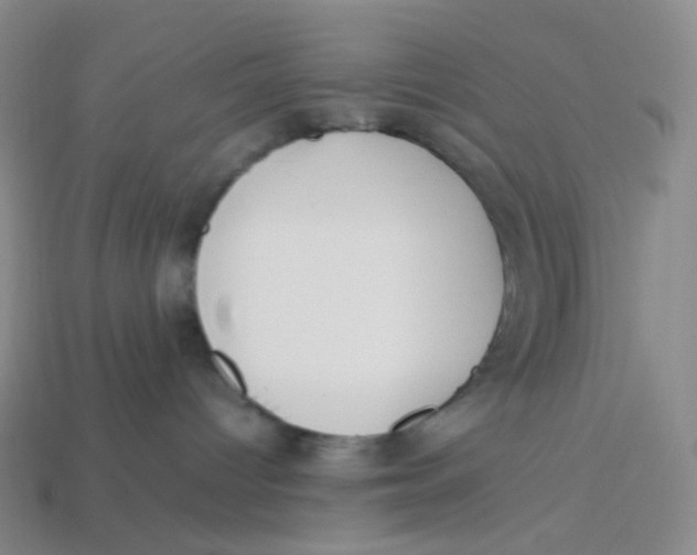 X0000113370096200910131329