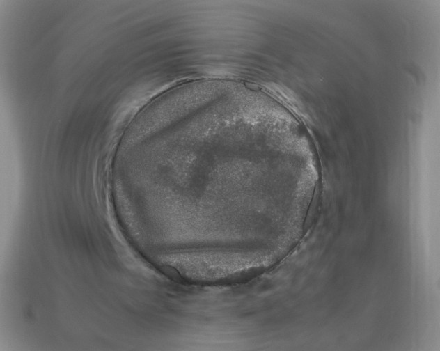 X0000113370097200910131329