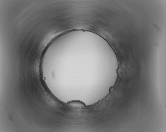 X0000113370098200910131329