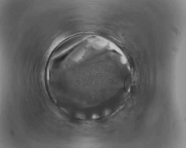 X0000113370099200910131329