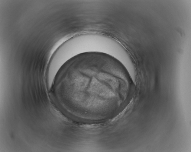 X0000113370100200910131329