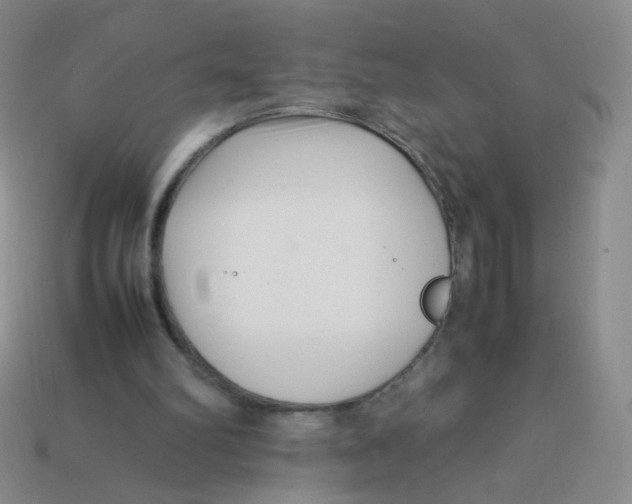 X0000113370102200910131329