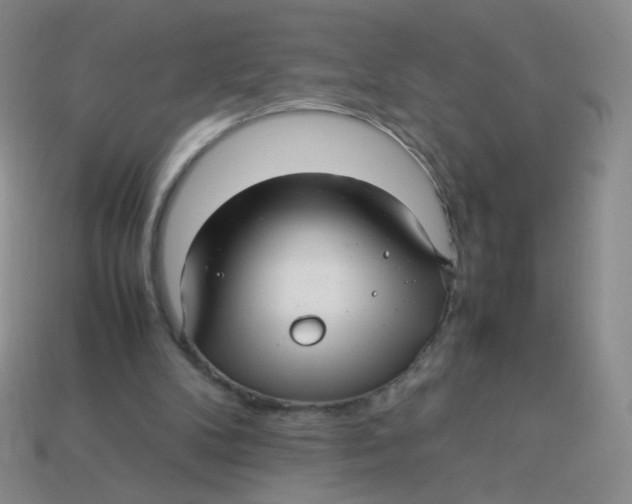 X0000113370104200910131329