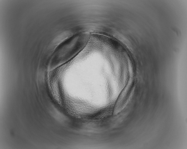 X0000113370105200910131329