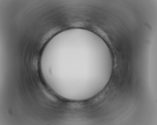 X0000113370106200910131329