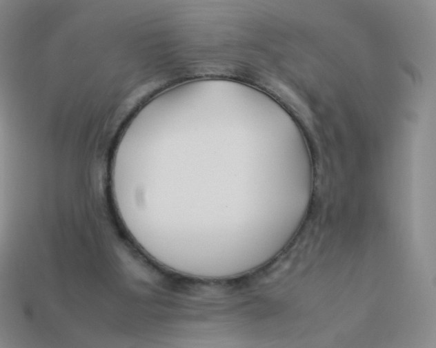 X0000113370107200910131329