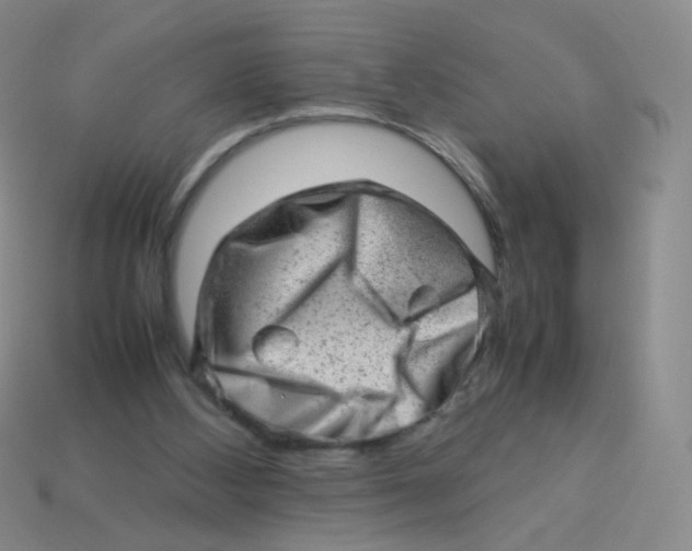 X0000113370108200910131329