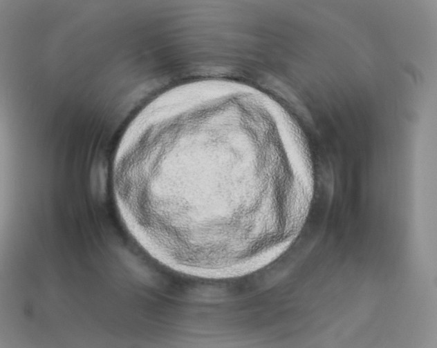 X0000113370110200910131329