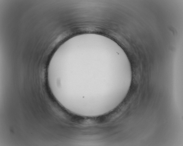 X0000113370111200910131329