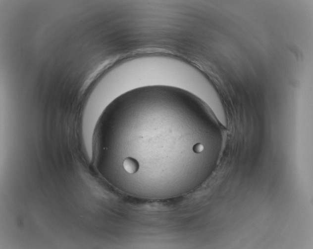 X0000113370112200910131329