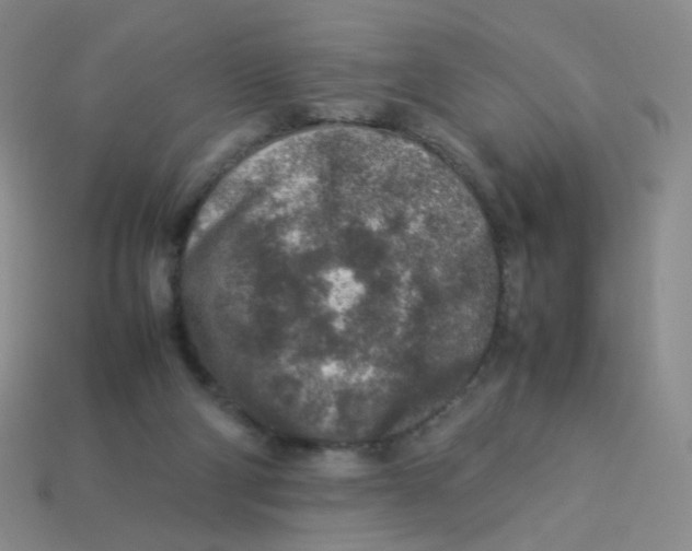 X0000113370114200910131329