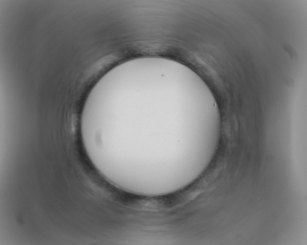 X0000113370115200910131328